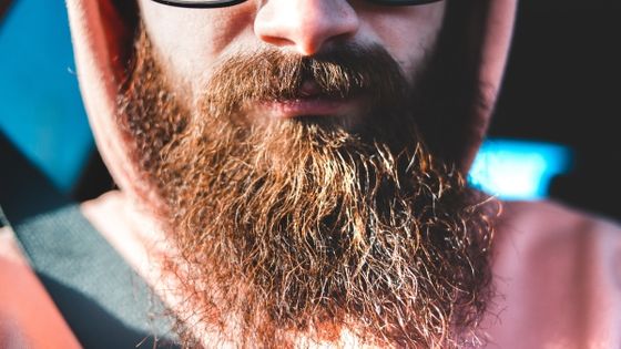 男性のあごひげはパンチなどの攻撃から顔面を守るために進化した可能性があると研究者が主張 Gigazine