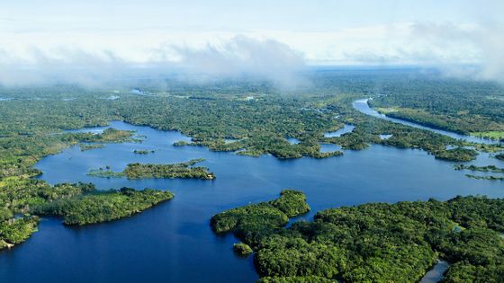 古代人が行った土壌改革がアマゾン川流域の生物多様性を生み出しているとの研究結果 Gigazine