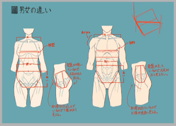 ド素人からでもお絵描きのスキルと知識が動画やダウンロード可能なファイルで身につく パルミー 厳選10講座まとめ Gigazine