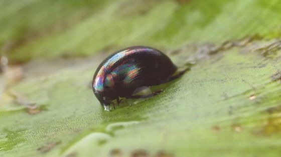 ロイヤル パーク ホテル 福岡 朝食