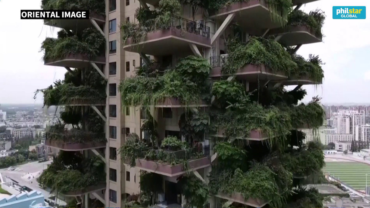 植物で覆われたファンタジー感あふれるマンションになるはずが蚊の襲来で住人が退去 マンションはジャングルへ Gigazine