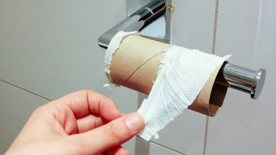 Why did people wipe their buttocks when there was no toilet paper? -  GIGAZINE