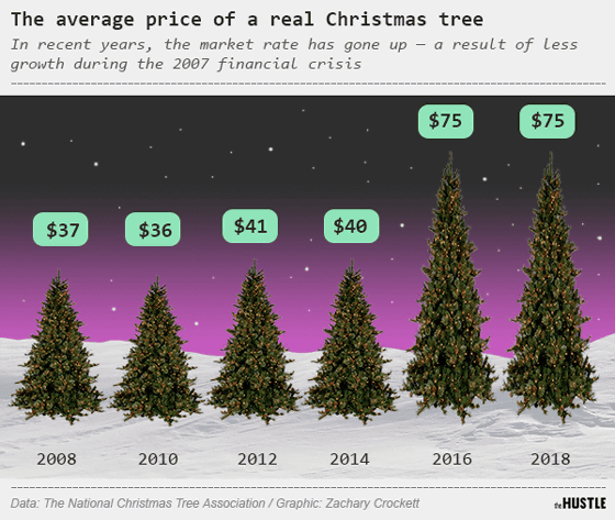 Real christmas tree deals price