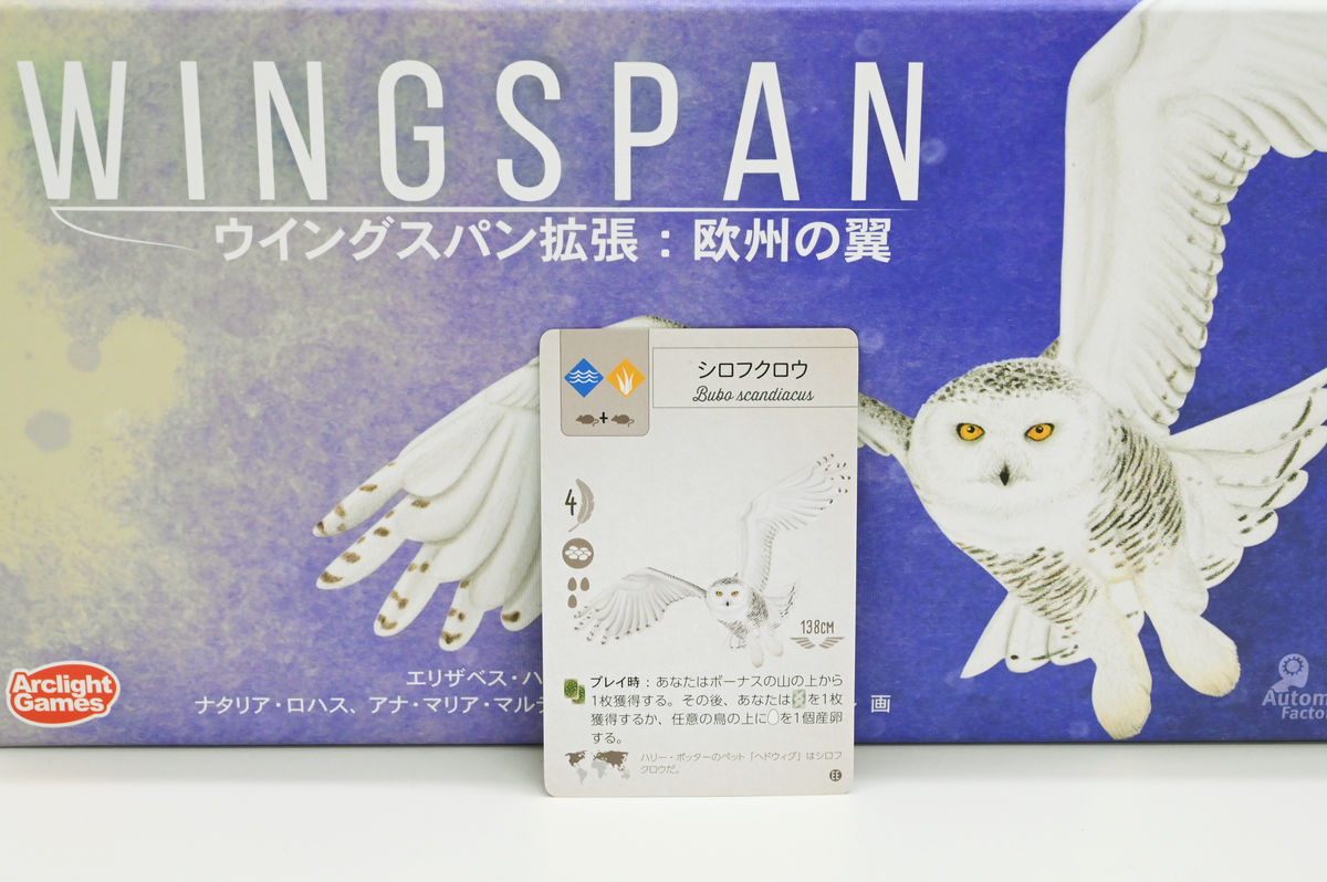 945円 買い物 ウイングスパン拡張:欧州の翼 完全日本語版