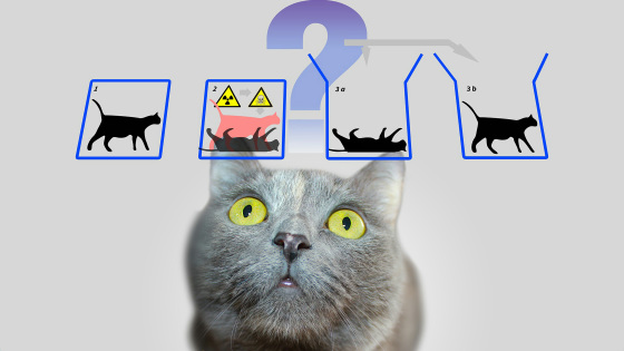 シュレーディンガーの猫」の運命など量子力学についてよくある4つの