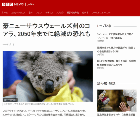 The theory that koalas are loved all over the world because they