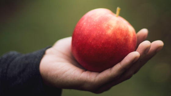 元fbiの リンゴ探偵 が失われたはずの7種のリンゴを再発見することに成功 Gigazine