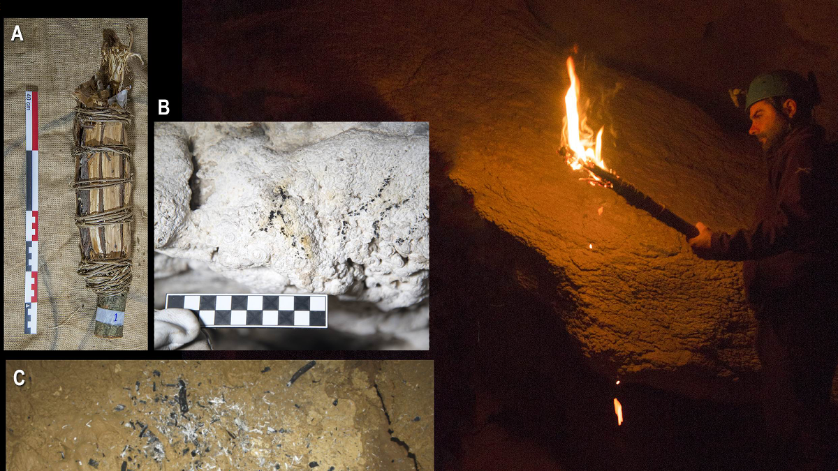 3万年前に使われたたいまつの素材は何だったのか Gigazine