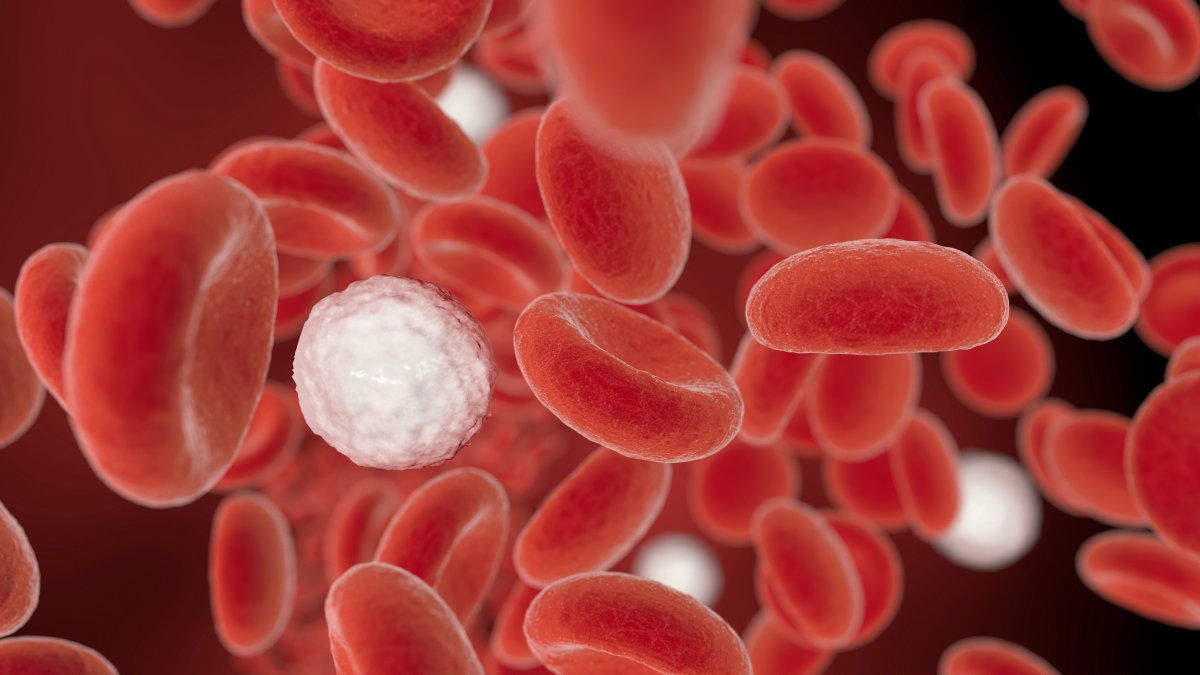 子宮がんを検出するにはどのような血液検査が使用されますか?