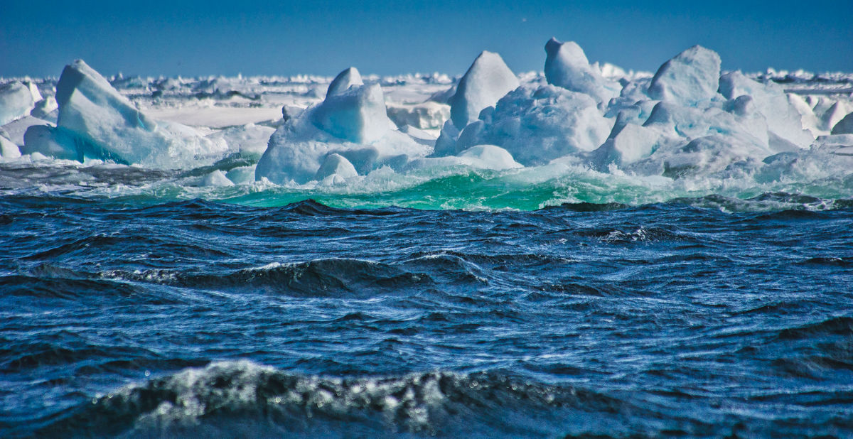 Океаны северной европы. Северный Ледовитый океан паковый лед. Паковый лёд. Паковые льды Арктики. Тихий океан фото ледников.