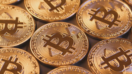 イーサリアムの考案者がエルサルバドルのビットコイン推進を批判 暗号資産の自由の精神に反する との指摘 Gigazine