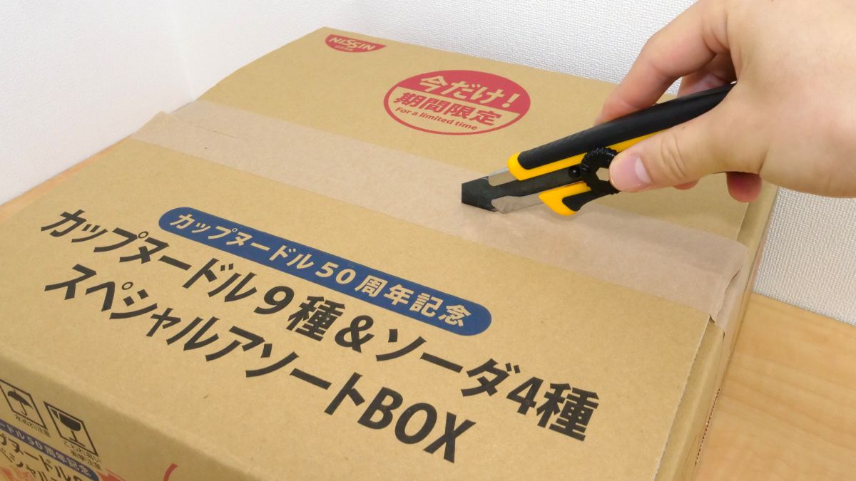 カップヌードル9種&ソーダ４種 スペシャルアソートBOX