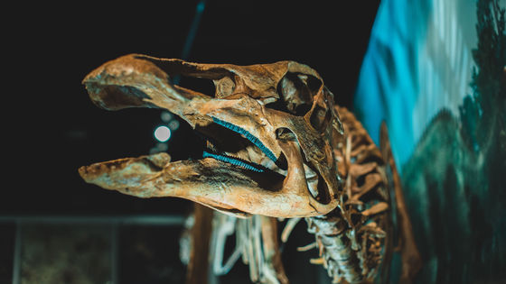 太古の昔に地球にばっこしていた恐竜は一体どんな姿をしていたのか
