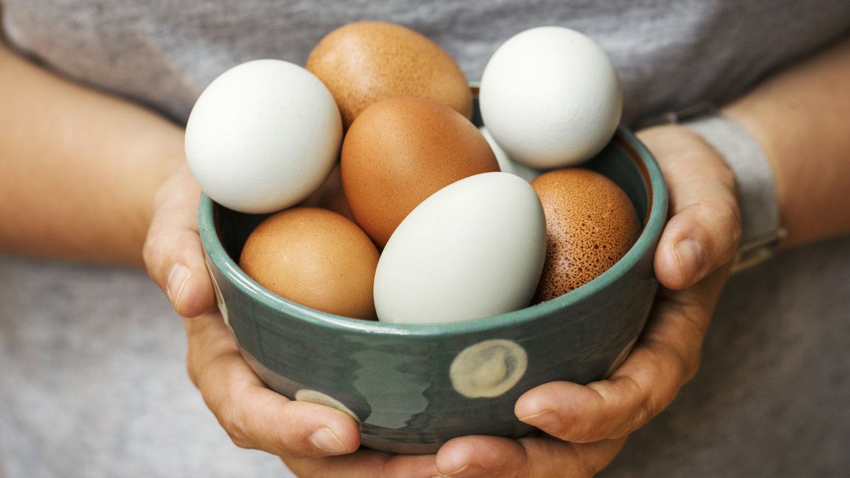 白い卵より茶色い卵の方が栄養がある は本当か Gigazine