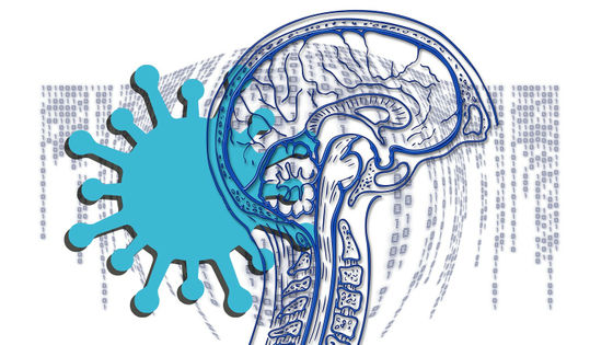 軽度の新型コロナウイルス感染症ですら脳にダメージを与え縮小させる