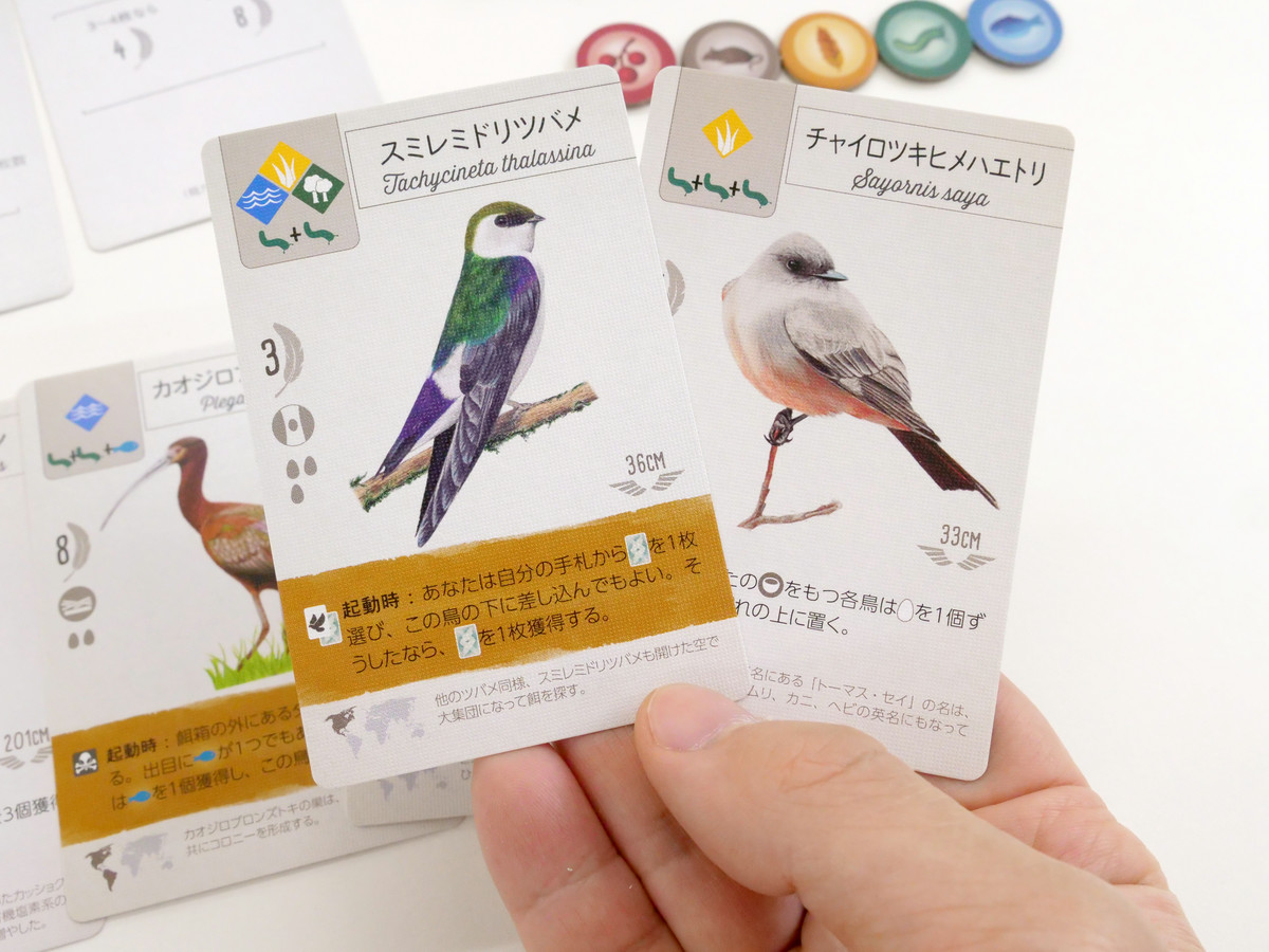 Why Was The Board Game Wingspan That Collects Wild Birds A Big Hit Worldwide Gigazine