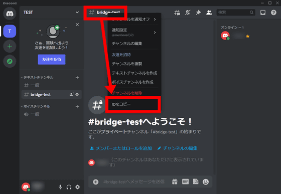 Discord Bridge  Element Knowledge