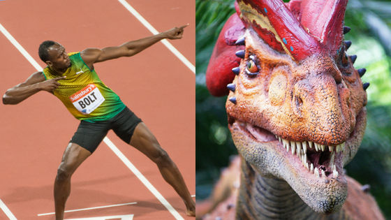 ウサイン ボルトvsディロフォサウルスの100m走はどっちが勝つのか Gigazine