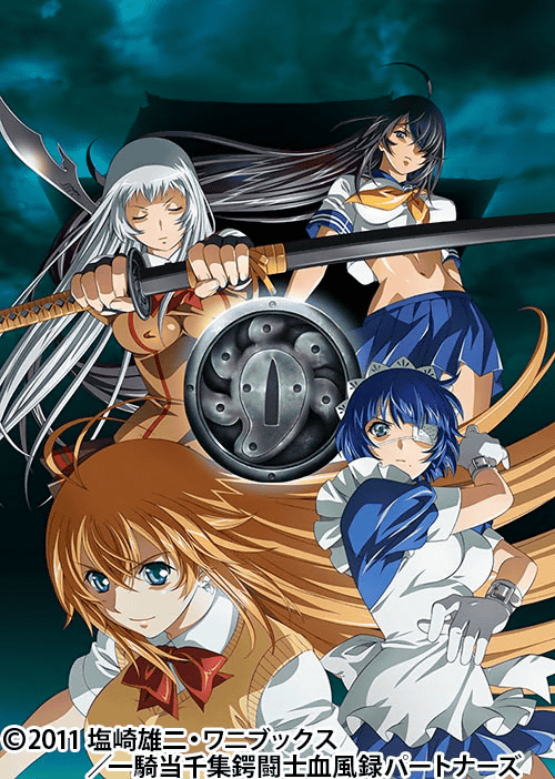 Interview with director Rion Kujo of 'Shin Ikki Tousen' depicting