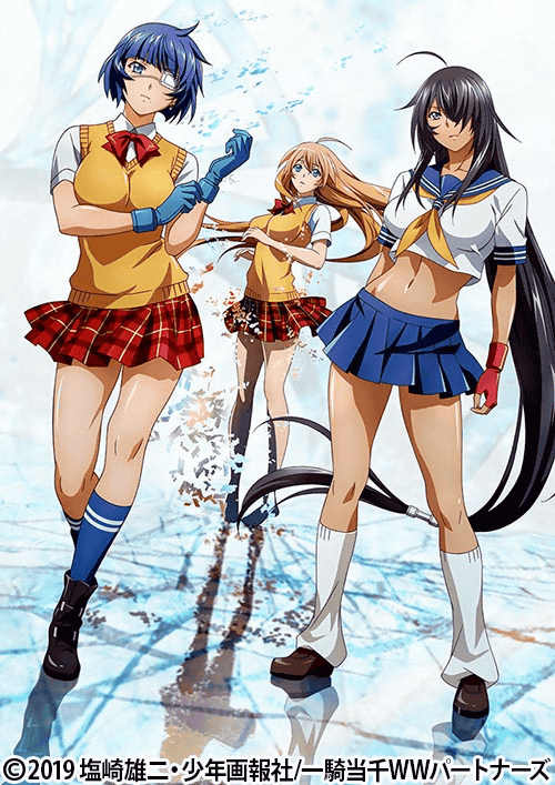 Interview with director Rion Kujo of 'Shin Ikki Tousen' depicting