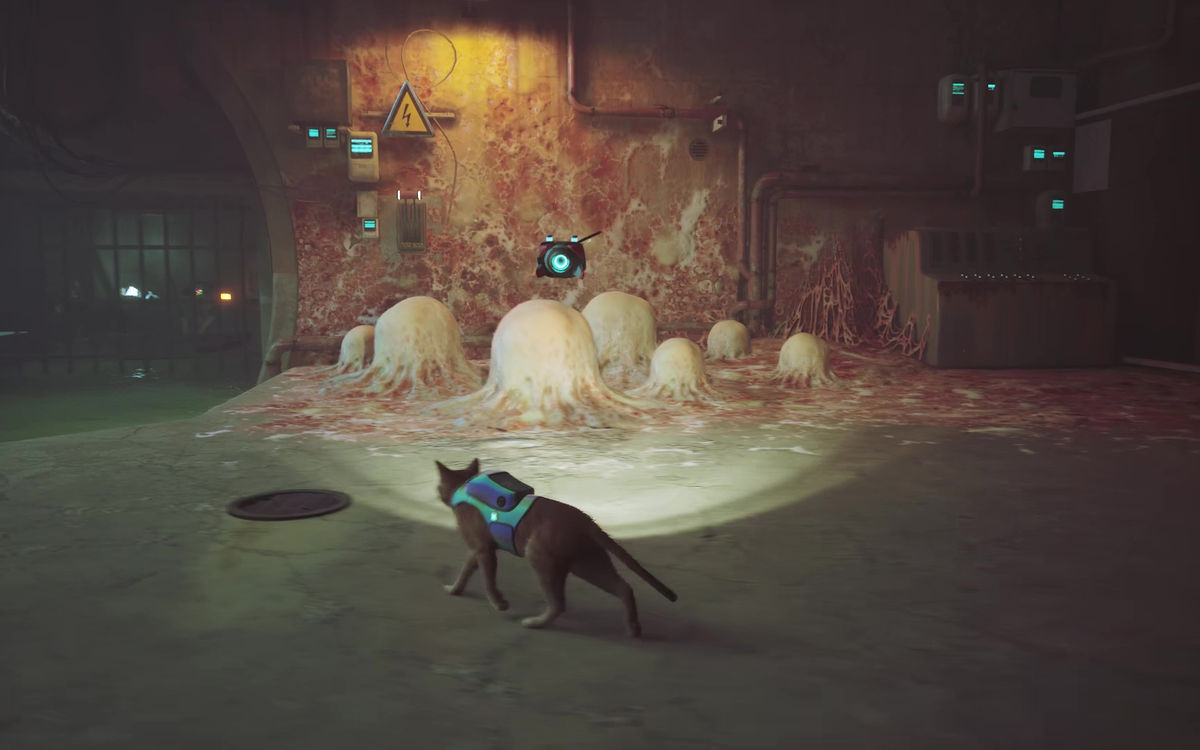 What are the Zurks in Stray, the cyberpunk cat game?