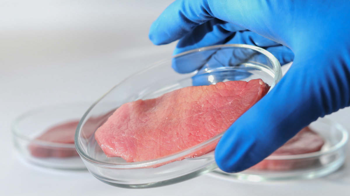 何が減量に良い食べ物なのでしょうか？