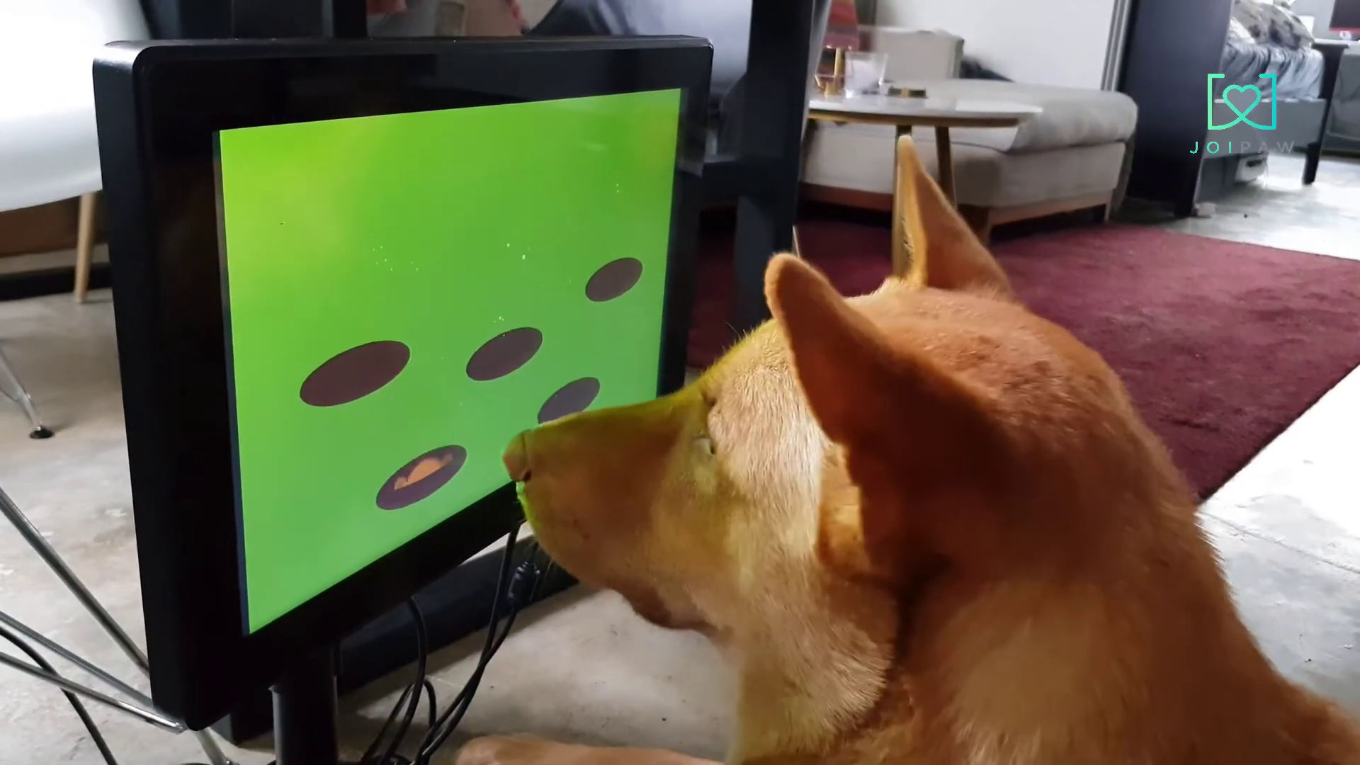 Memorable Video Game Dogs - Cliqist