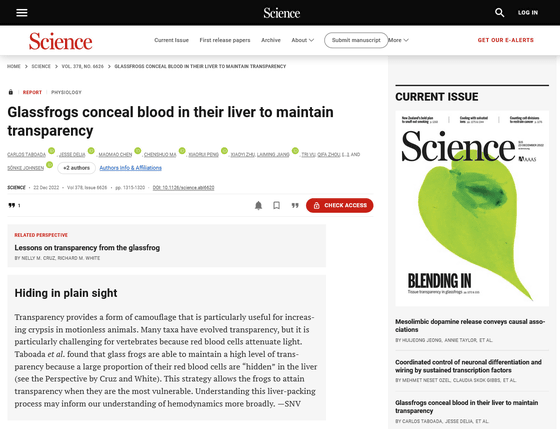 A transparent frog hides its red blood cells while sleeping : NPR