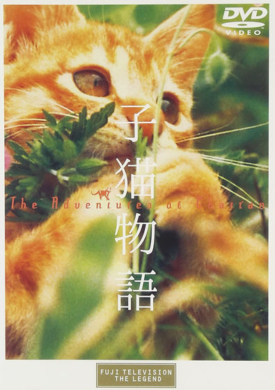 訃報】ムツゴロウこと畑正憲さん死去、「ムツゴロウとゆかいな