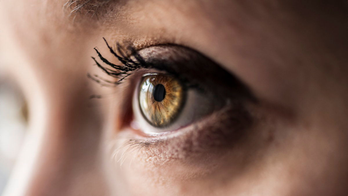 パーキンソン病に対するサポートはどこで得られますか?