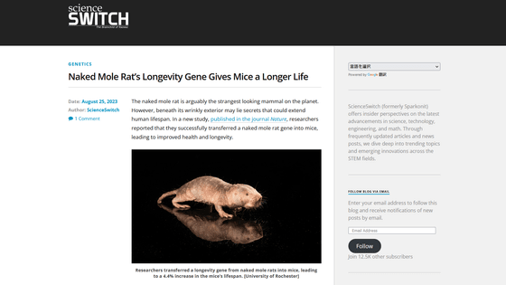 Naked mole-rat's 'longevity' gene extends lifespan and health of mice