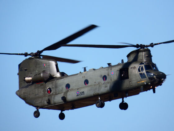 Crocodile sex frenzy triggered by Chinook helicopters and thunder