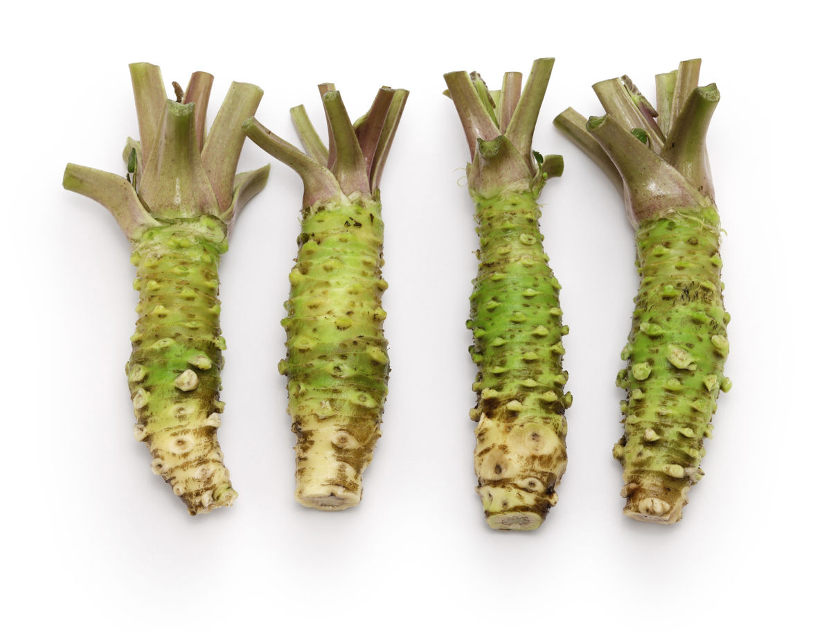 Wasabi May Improve Memory and Boost Brain Health, Study Finds