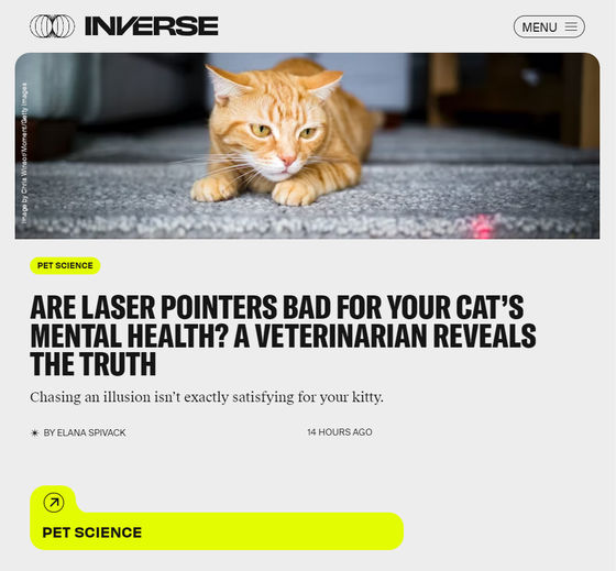 Laser pointer best sale bad for cats