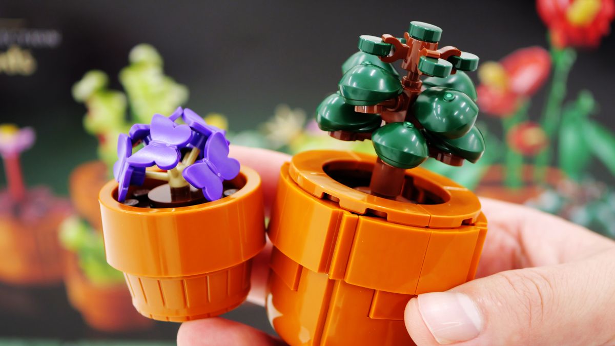 レゴで植物模型を作れる「ミニ観葉植物セット」でサンカクカタバミや 