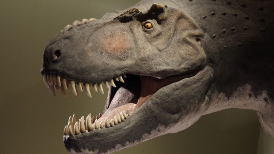 13 Things Paleontologists Got Wrong About Tyrannosaurus Rex