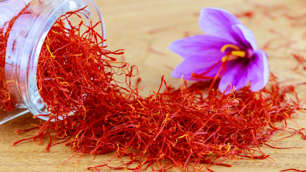 why is saffron, the most expensive spice in world, so 