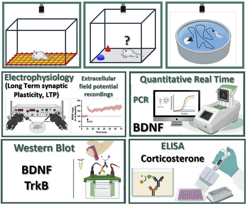 クラリチンを服用している場合、アルコールを飲んでも安全ですか?