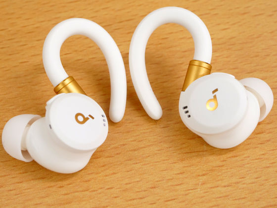 Appearance of the front of the earphone