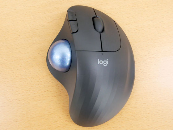 Mouse front view