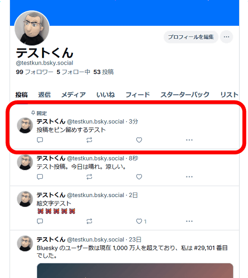 Blueskyのピン留めしたポスト
