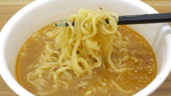 【悲報】 日本人さん、ついに「具なしラーメン」を食べ始めてしまう  [303493227]YouTube動画>1本 ->画像>8枚 