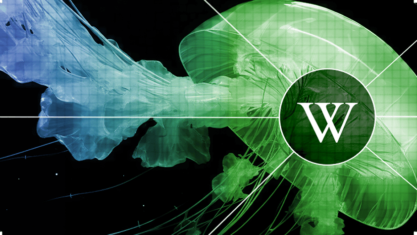 Wikipediaが技術的障壁を取り除きボランティアが作業しやすくする「人間第一」の新AI戦略を表明