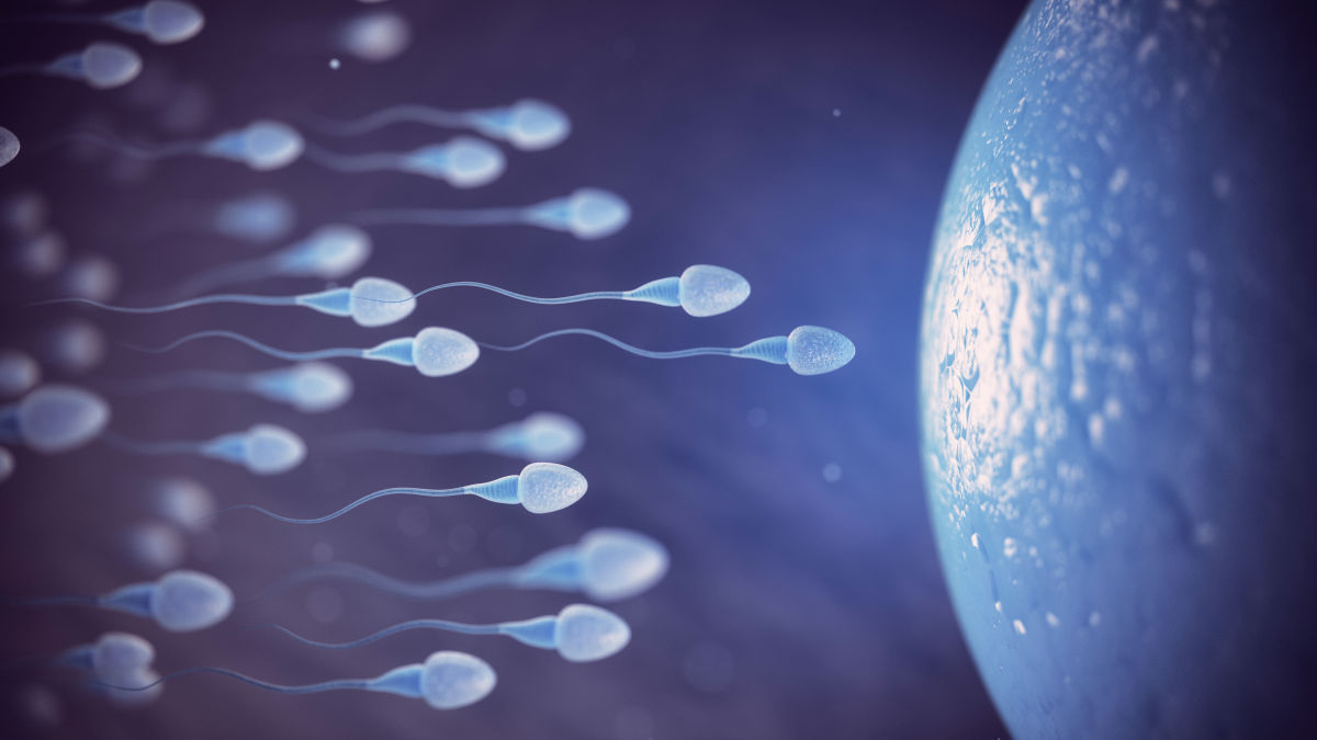 禁欲するよりも頻繁に射精した方が「精子の質」が向上するとの研究結果