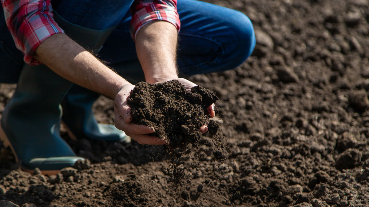土を耕しすぎると逆に土壌へ悪影響が及ぶ可能性があると地震学者らの実験で明らかに