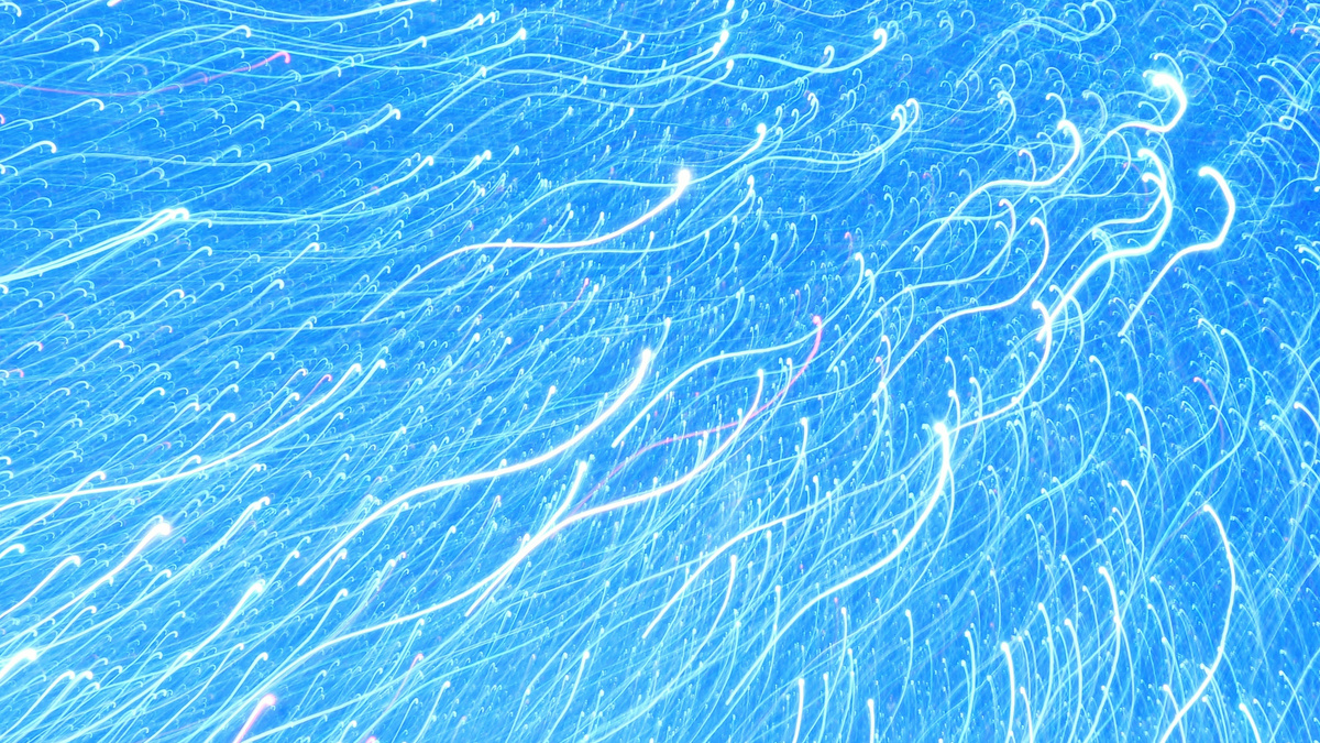 人間の「精子の質」は夏にピークを迎えるとの研究結果、ただし一部の専門家から疑問の声も