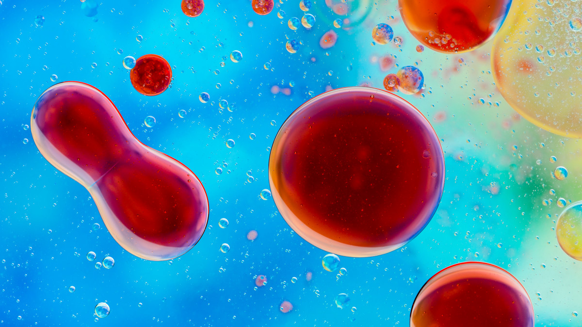 細菌と古細菌はそれぞれ独立して無生物から生物に進化した可能性